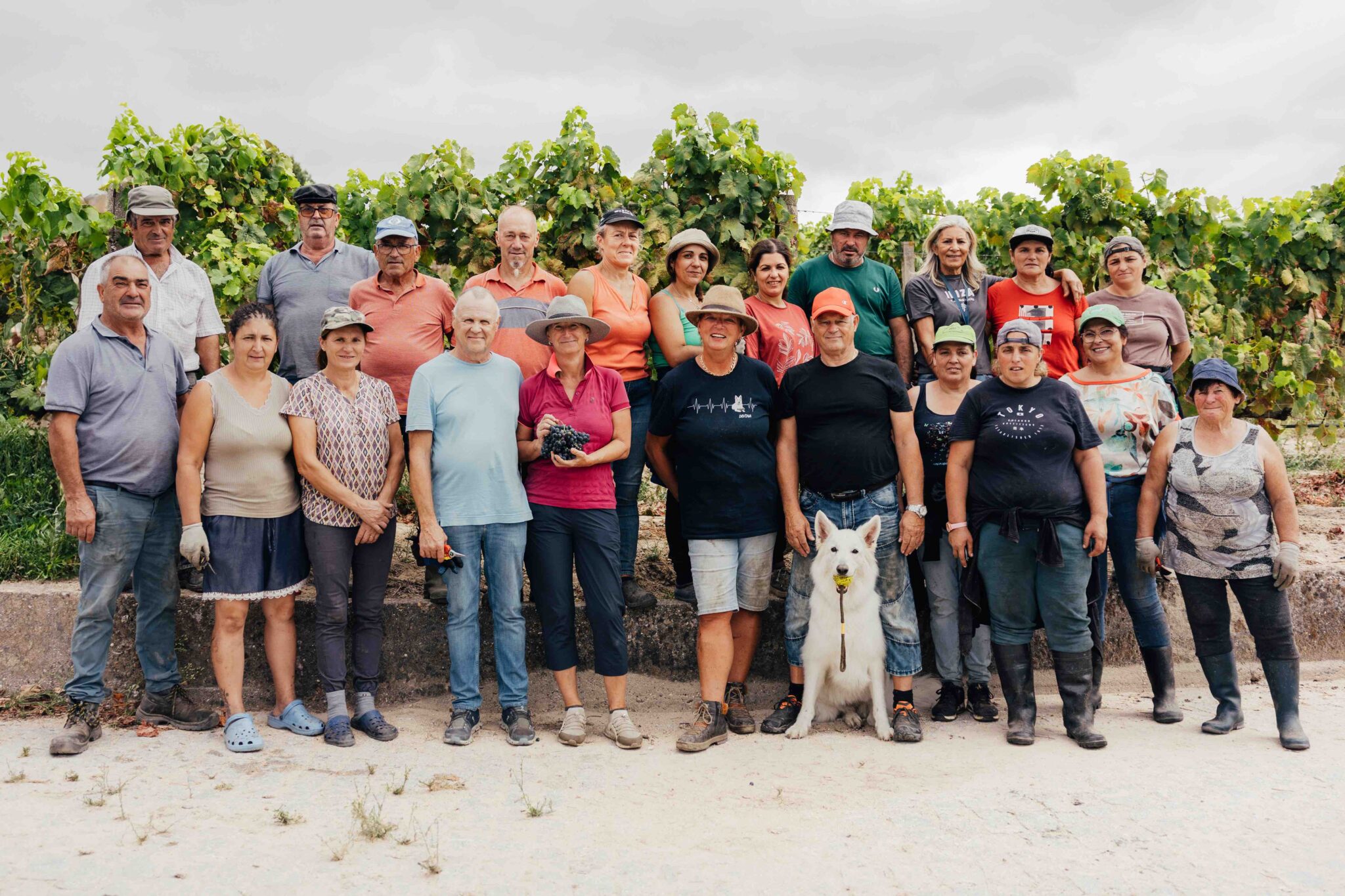 2025 Harvest: New Grape Varieties and Family Spirit at Quinta do Paço